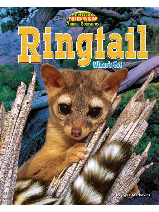 Title details for Ringtail by Joyce Markovics - Available